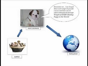 Estimation & Confidence Intervals: An Overview and Introduction