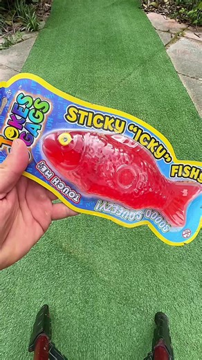 Captivating ASMR Sounds of Inflating Fish