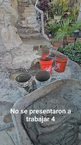 14K views · 165 reactions | No se presentaron a trabajar 4 toca. Descansarlos, hasta el fin de semana hasta la siguiente semana. Perdón | Kanelorocks | Facebook