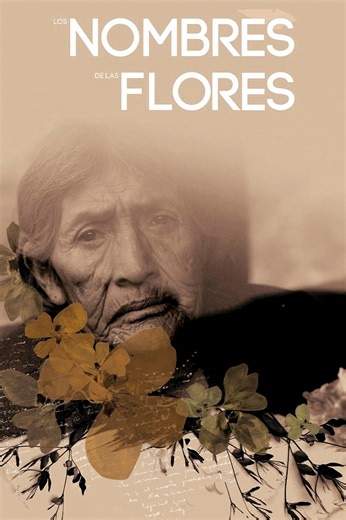 The Names of the Flowers (2019) | ČSFD.cz