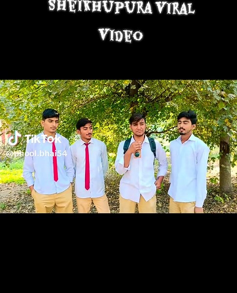 Sheikhupura Viral Video Compilation