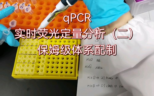 生物学小白不容错过~实时荧光定量PCR（Q-PCR）实验全流程（二）体系配制及超详细细节讲解！