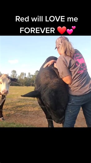 186K views · 6.7K reactions | https://www.tiktok.com/@vicstang/video/7155613633605553454?is_from_webapp=1&sender_device=pc&web_id=7496401479827129864 | Vicstang | Facebook