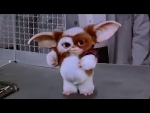 Gizmo's Rock-n-Roll Dance