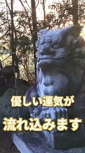 【心が軽くなる神聖映像】須賀神社の穏やかな御神気に包まれる遠隔参拝｜金運・仕事運・人とのご縁を優しく整える #遠隔参拝 #パワースポット神社 #開運 #スピリチュアル #運気上昇 #ショート動画
