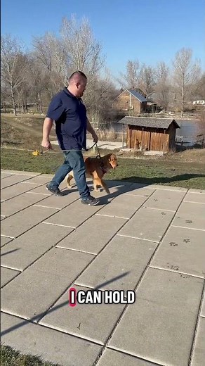 Stop Your Dog From Pulling | Proper Leash Handling Technique