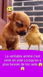13K reactions · 465 shares | ##La véritable amitié c'est venir en aide, ✓✓Lorsqu'on a plus besoin de ton aide | Francis Pastor Ngeleka | Facebook