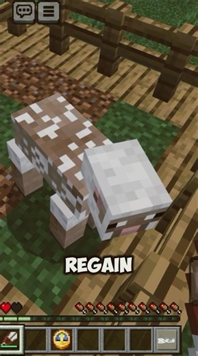 Why sheep eat GRASS in Minecraft