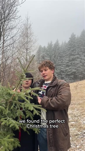 merry christmas from our little cabin in the alps !!!!!🤗💗 NO TREES WERE HARMED IN THE MAKING :)