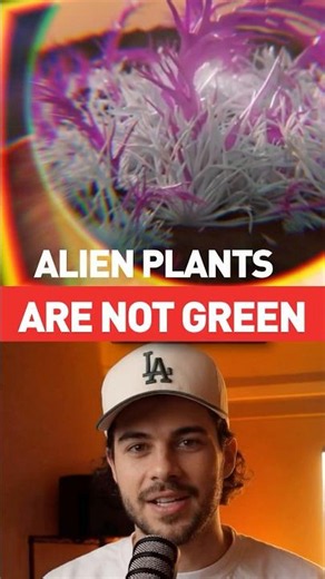 Alien planet plants shift detection tactics with #vegetationrededge #exobiology #astrobiology
