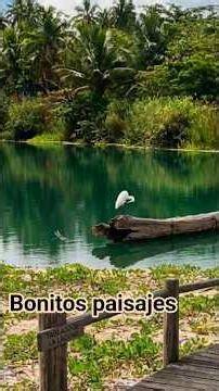 bonitos paisajes de Puerto Rico #vistas #hermosas