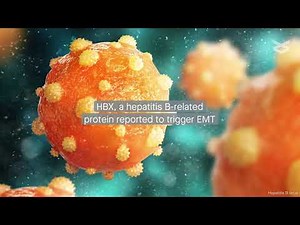 New protein targets for treating liver cancer tied to hepatitis B