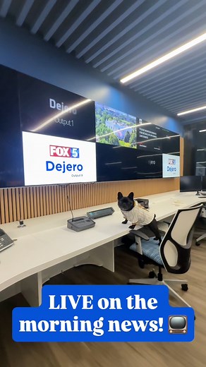 80K views · 3.8K reactions |  Some GOOD news!!! We were LIVE on the local nornin news!!  We talked about joining the Paw Squad as a pawnorary member TOMORROW 9/13 at 5pm before the San Diego Padres game starts at 5:40pm!! See u there! 朗⚾️#padres #pawsquad #sandiego #petcopark #forthefaithful #dogs | Oatie Meal | Facebook