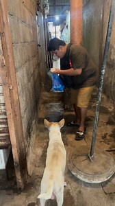 Ito nga Ang huli naming tagpu ng palaboy na bata kasama Ang kanyang asong alaga pareho po sila nabigyan namin ng Pananghalian nong time nan iyon . #animallovercanrelate | Dada Lucero