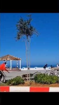 هروب خروف ب 12 خيل تبرك الله مولاه صخف او حتى مول طنوبيل 😂