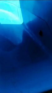 53 reactions · 15 comments | RULE NUMBER 1️⃣: it has to be FUN!!...