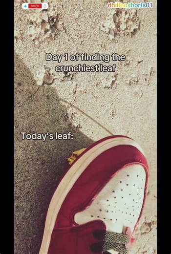 Day 1 of crushing the crunchiest leaf 😮 #trending #viral #satisfying