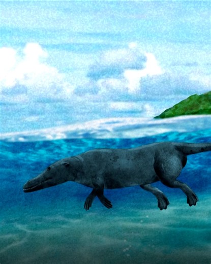 59K views · 1.2K reactions | Whales have an incredible evolutionary past. | NOVA l PBS | Facebook