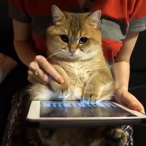 Look at that cute face!