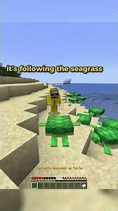 Hiding as a *TURTLE* In Minecraft