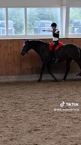 😜🥴 #equestrianlife #horse #equestrian #dressage