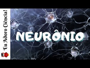 Neurônio, a célula nervosa | Sistema Nervoso