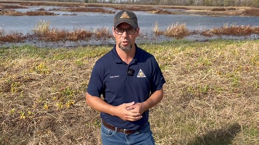 20K views · 158 reactions | Waterfowl: MDC's Frank Nelson tells us what hunters can expect during waterfowl season. He also talks about wetland management. Waterfowl season for Middle and North Zone kicks off this coming weekend! Learn more in the video. | Missouri Dept. of Conservation | Facebook