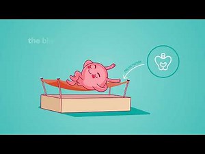 Better Bladder Health Supplement