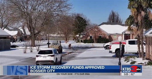 Bossier City Council approves $275,000 for ice storm recovery, Viking Drive sewer repairs