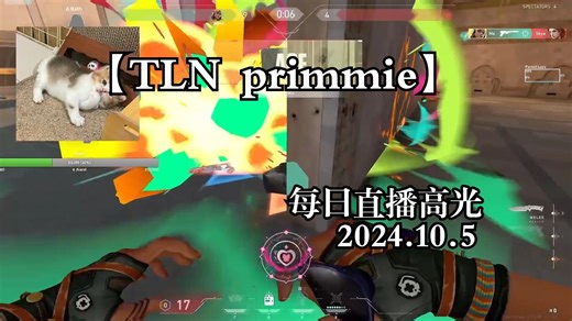 【TLN primmie】观赏性拉满 每日直播高光 2024.10.5