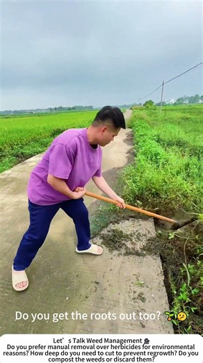 Clearing Roadside Weeds – A Clean Sweep with a Long-Handled Shovel 🌿🛣️