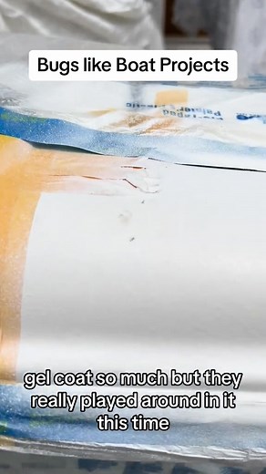 Bug in my Gel! #boat #repair #gel #fix #ugh | Tynes Fiberglass
