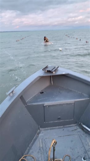 #layoutboat #hunting for #bluebills #waterfowl #fyp #fypシ #fypage