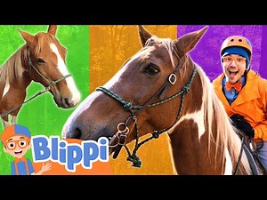 Blippi's Horse Race on the Farm! | Learn About Horses for Kids | Blippi - Learn Colors and Science