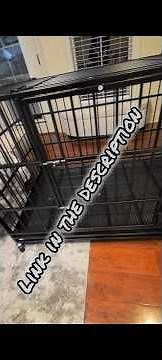 Watch Me Assemble this Dog Crate in Under Ten Minutes!!! (Link Below) #puppy #boerboel #amazonfinds
