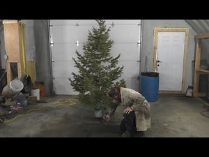 Building a Better Christmas Tree Stand (TIS433)