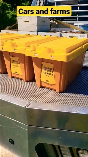 how to make 5 frame bee nucs #howto #beenuc #nuc #beekeeper #beekeeping #short #farm #farmer