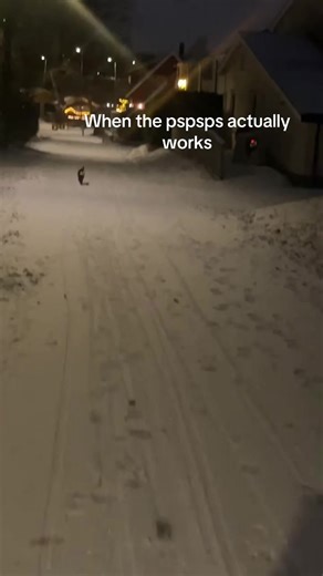 When the Cat Responds to Pspsps Call