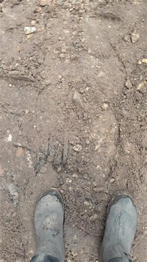 walking disaster (@walkingdisaster83)’s videos with original sound - Noetica