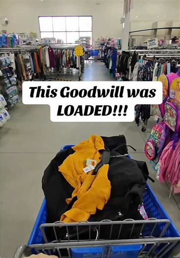 Incredible Goodwill Finds: Best Thrift Store Haul Yet