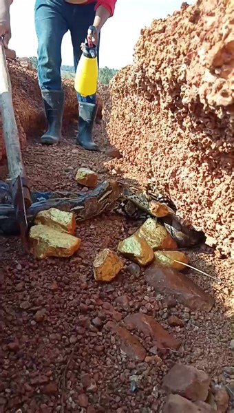 1.5M views · 6.6K reactions | gold in the forest #shorts #tricks #tips #treasure #hunting #hunter #findgold | HOME GOLD | Facebook