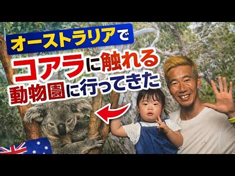 【オーストラリア】コアラに触れた！クオッカもいたオーストラリアの動物園に行ってみた