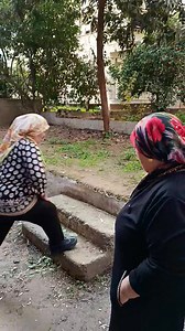 Bekilli | Ali Palta