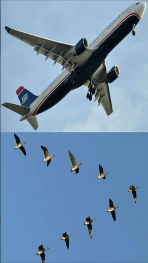 What is Biomimetics? | Rahul Saigaonker | Nature-Inspired Innovation Explained in 50 Seconds!