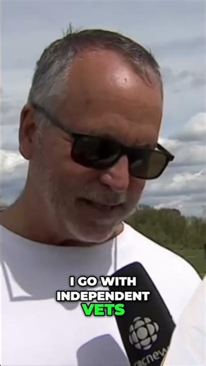 Veterinary Partnership: Your Pet's Best Care #shorts