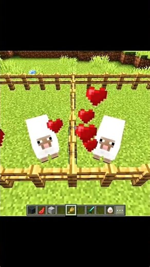 Minecraft Sheep Breeding 💀