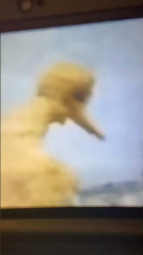 Sesame Street Theme Song in Reverse