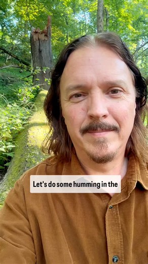 Let’s do a short humming exercise here on this old log in the woods. If your anxiety is high, tried doing the exercise a few times in a row. #soundhealing #vagusnerve #natureheals #humming | Jim Donovan Sound Health