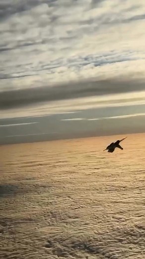 16K views · 813 reactions | #fighterjet #jetfighter #fighterjetexperience #flyfighterjet #fighterpilot #topgun #topgunmaverick #jetfighterride | Jet Fighter Ride | Facebook