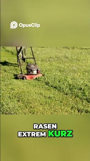 Rasen Geheimtipp 🌿: So bleibt dein Grün trotz Hitze unschlagbar frisch!